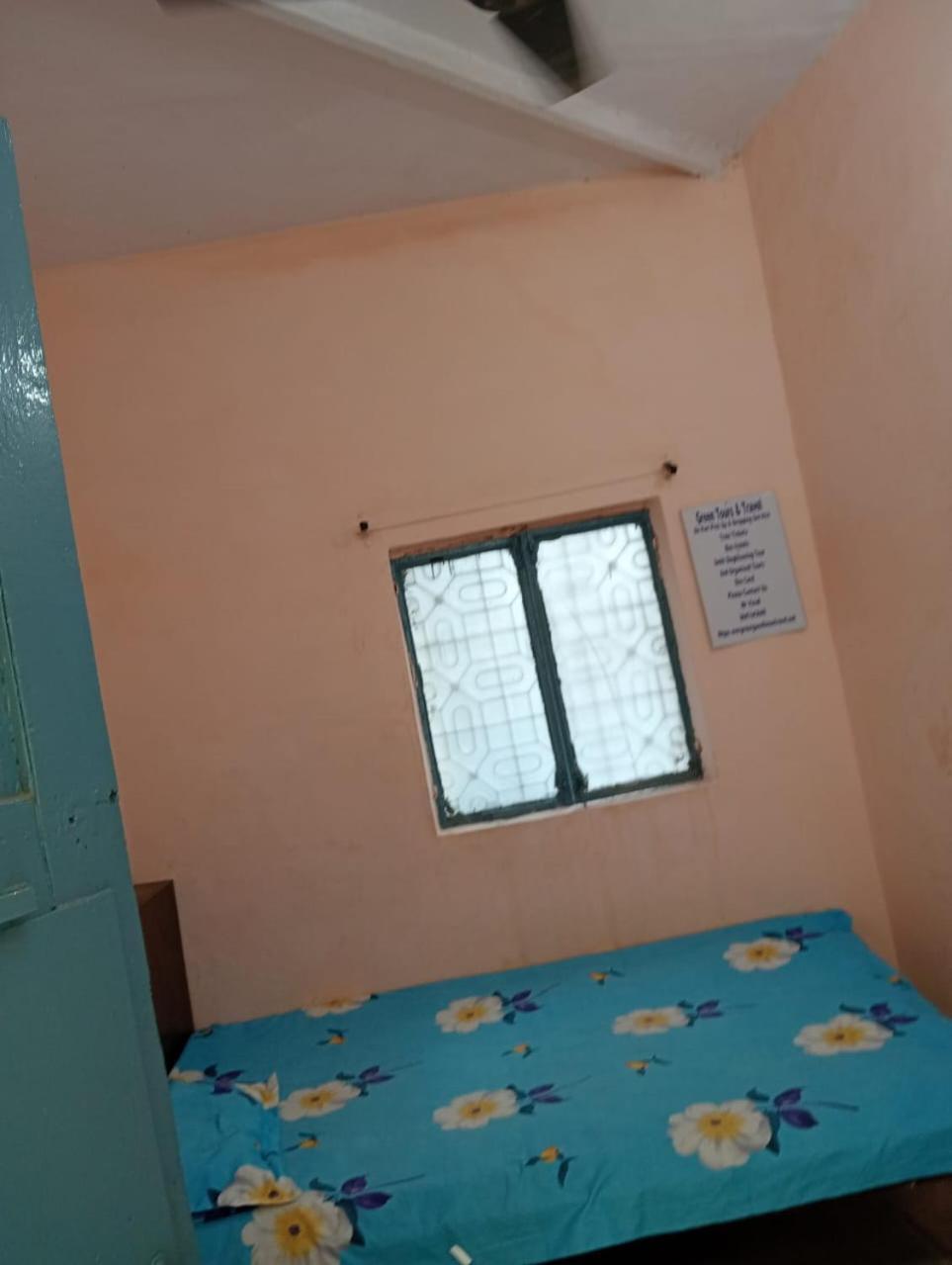 Ever Green Guest House Travel & Pg Neu-Delhi Exterior foto